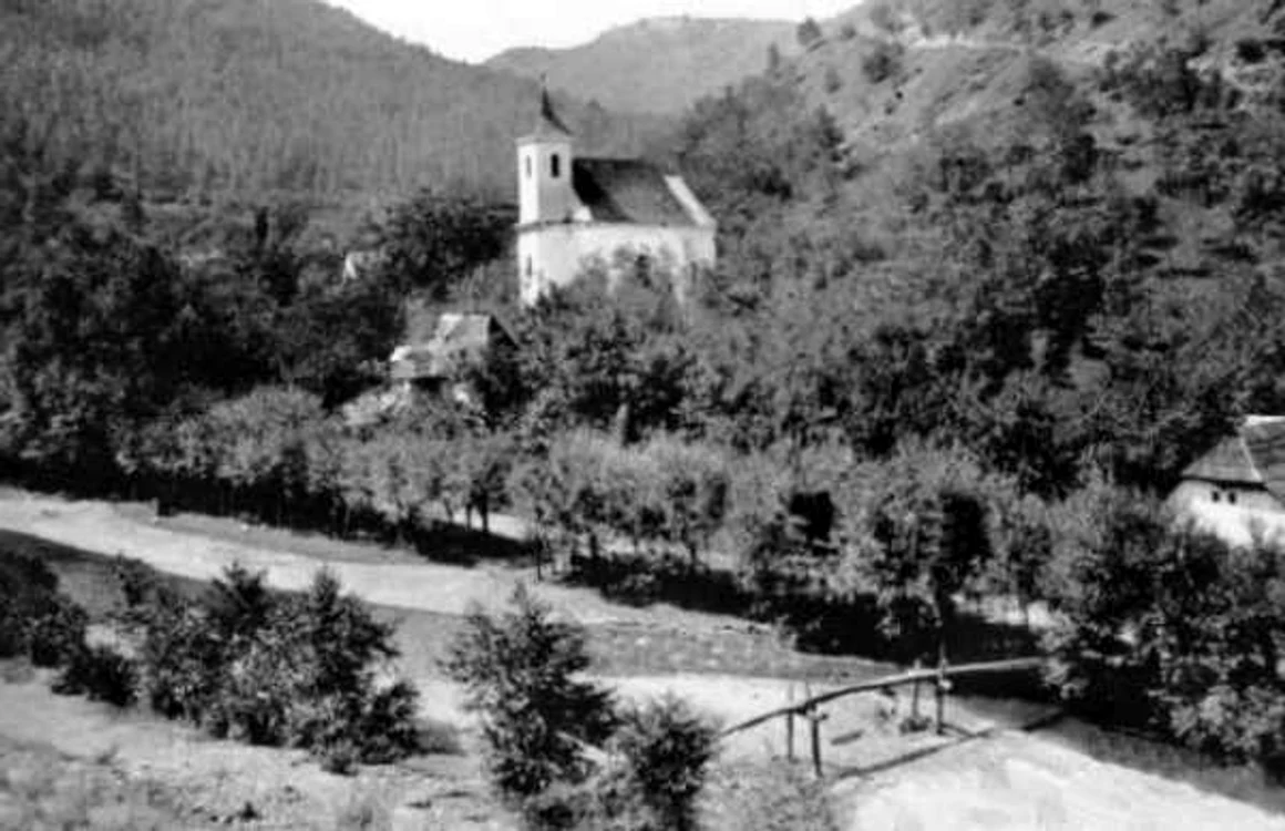 cincis