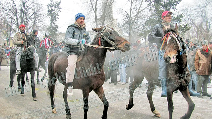 Zeci de armăsari de  soi au făcut paradă pe  străzile din Băileşti  şi au fost botezaţi  ca“să aibă viaţă lungă”