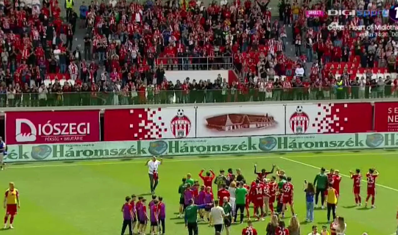 Sepsi OSK a promovat în Superliga  Foto/Captură digisport