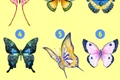 TEST jpg