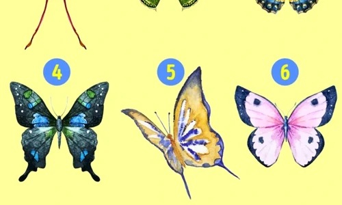 TEST jpg