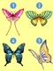 TEST jpg