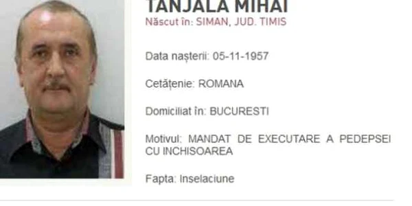 mihai tanjeala