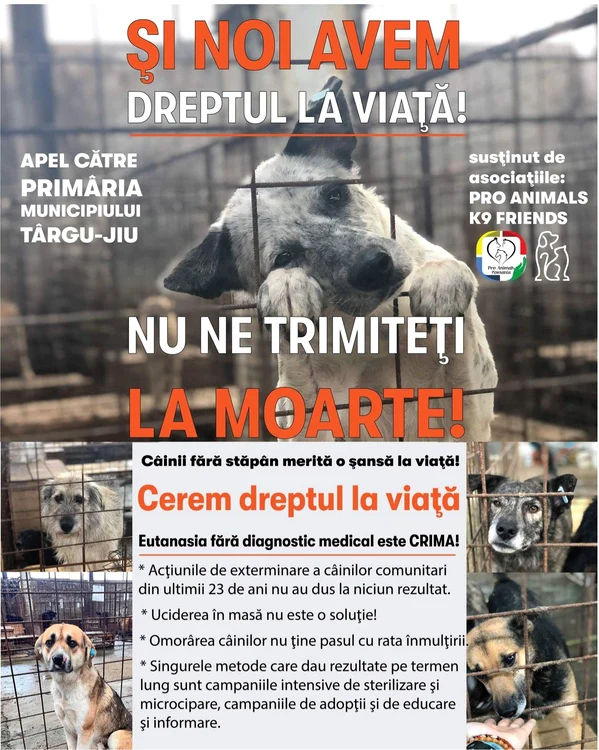SURSA Pro Animals
