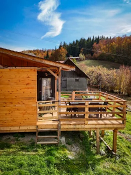 Cu 30.000 de euro, un cuplu de timișoreni a transformat un container într-un tiny house / foto: Love Deco