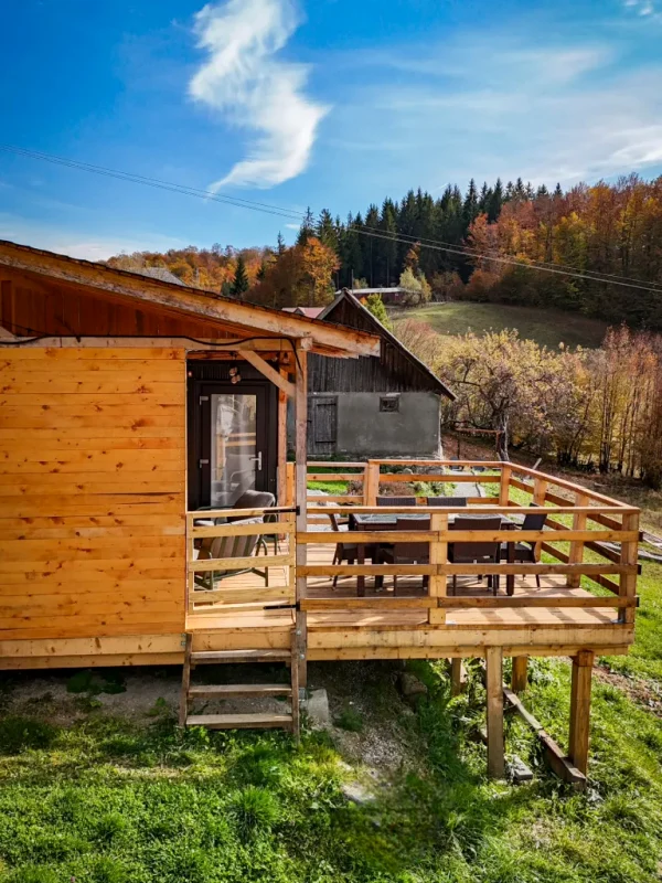 Cu 30.000 de euro, un cuplu de timișoreni a transformat un container într-un tiny house / foto: Love Deco