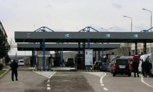 Vama Albita  jpg