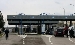 Vama Albita  jpg