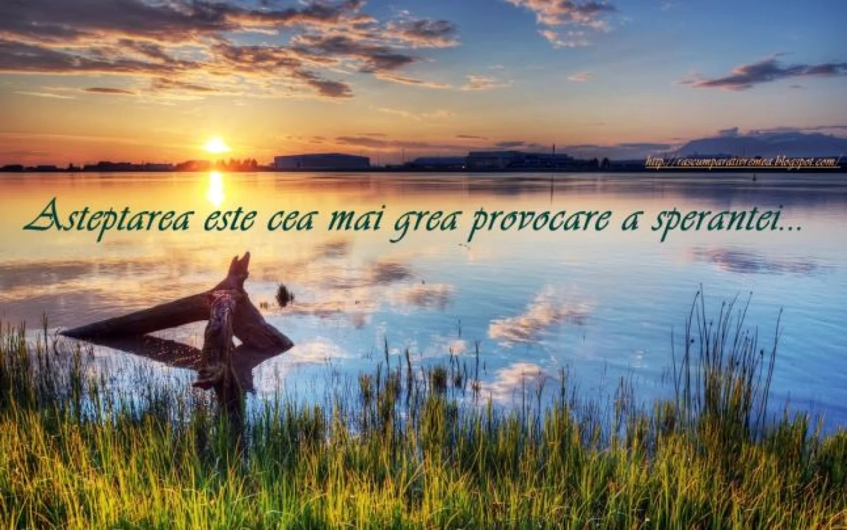 asteptare1