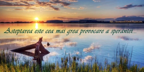 asteptare1