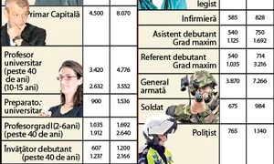 Guvernul vrea să şi asume răspunderea şi pentru Legea salarizării unitare jpeg