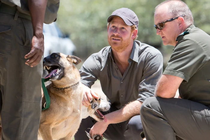 Prince Harry hepta 2222691 jpeg