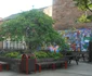 Edinburgh 16 jpg
