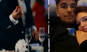cub sebastian dobrincu animat gif