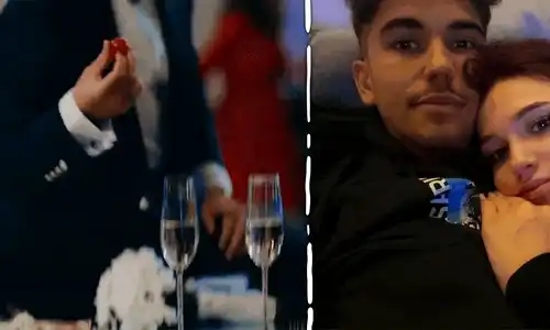 cub sebastian dobrincu animat gif