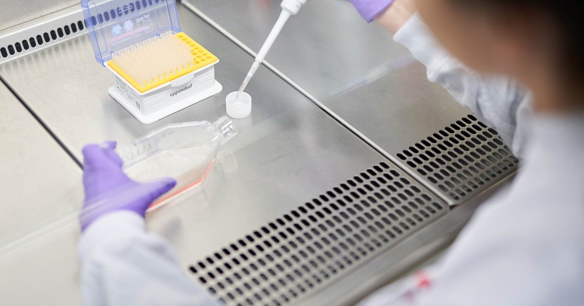 Tutunul și impactul lui asupra bugetelor de sănătate publică