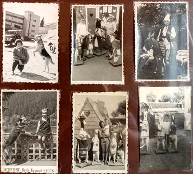 Expoziția „1001 Aparate și Accesorii Foto. O scurtă istorie a fotografiei românești” (© Muzeul Naţional al Carpaţilor Răsăriteni)