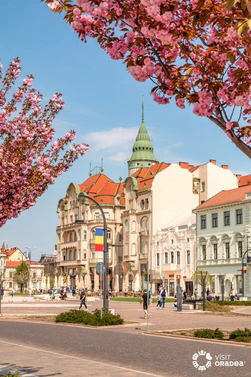 centrul orasului oradea este plin de palate