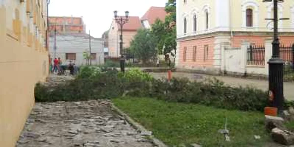 Copacii de pe strada dintre Catedrală şi Muzeu au fost tăiaţi
