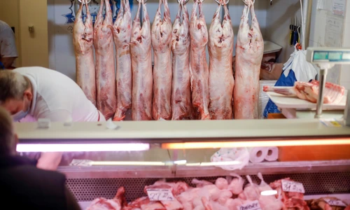 1 shutterstock 1705749094 jpg jpeg