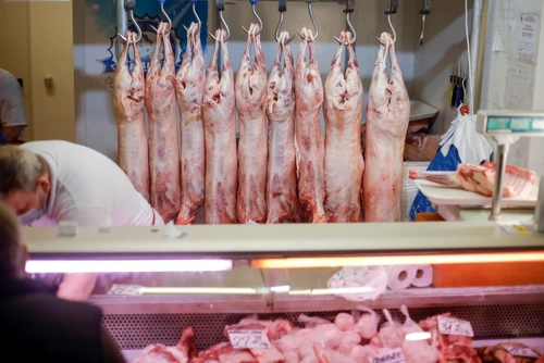 1 shutterstock 1705749094 jpg jpeg