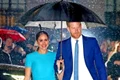 Cati bani are Meghan Markle jpeg