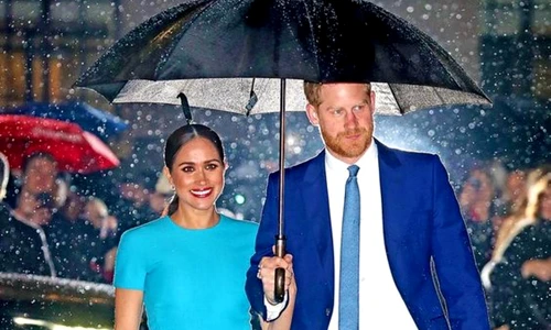 Cati bani are Meghan Markle jpeg