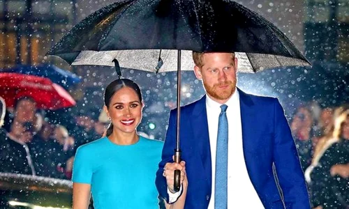 Cati bani are Meghan Markle jpeg