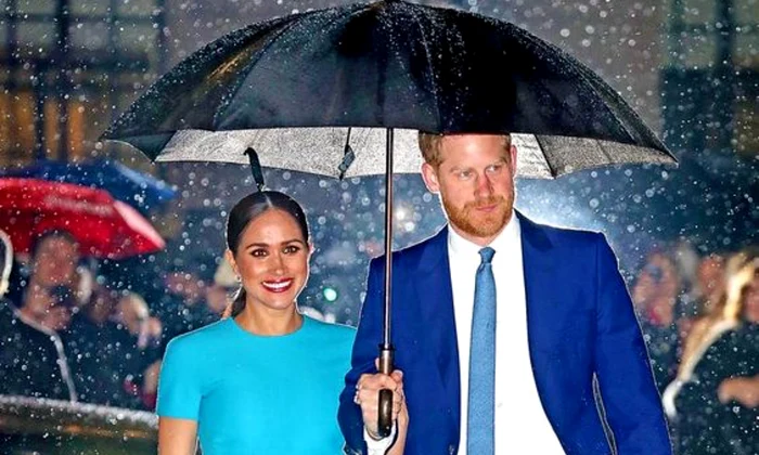 Cati bani are Meghan Markle jpeg