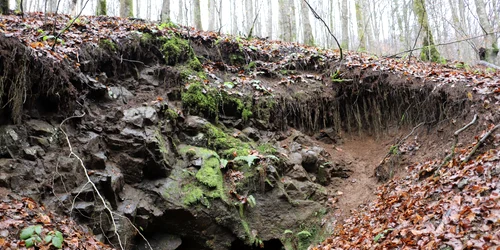 Satul Cazanesti locul natal al lui Arsenie Boca  Foto Daniel Guță (17) JPG