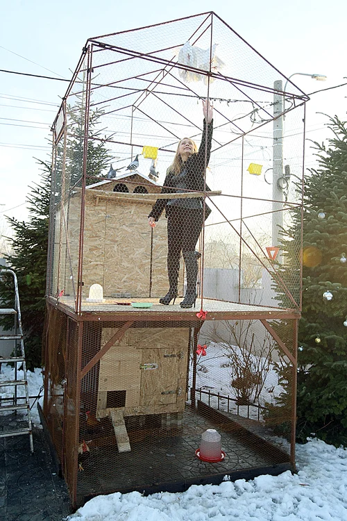 A amenajat coteţe în curte şi, în timp, vrea să-şi facă o adevărată grădină zoologică