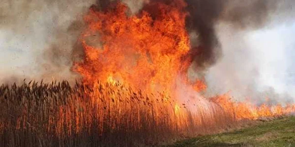 incendiu vegetatie vaslui
