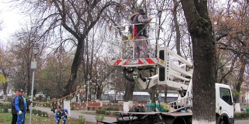 Angajaţii foloseau scara pentru a agăţa beculeţele în pomi