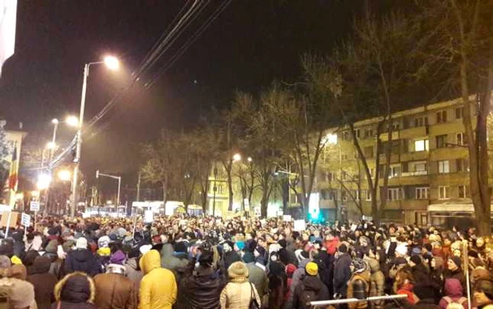 Protest gratiere Timisoara 2017 FOTO Stefan Both