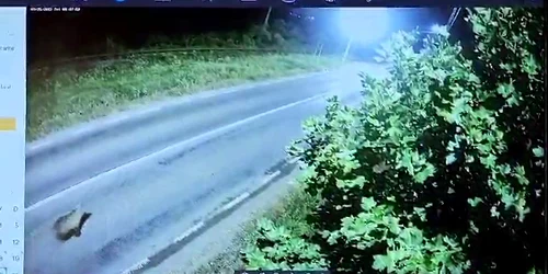 WhatsApp Video 2023 08 25 at 16 39 41 mp4 thumbnail png