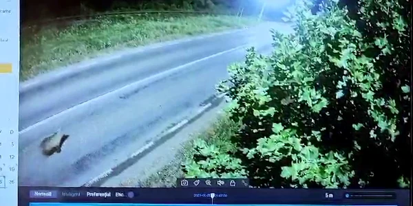 WhatsApp Video 2023 08 25 at 16 39 41 mp4 thumbnail png