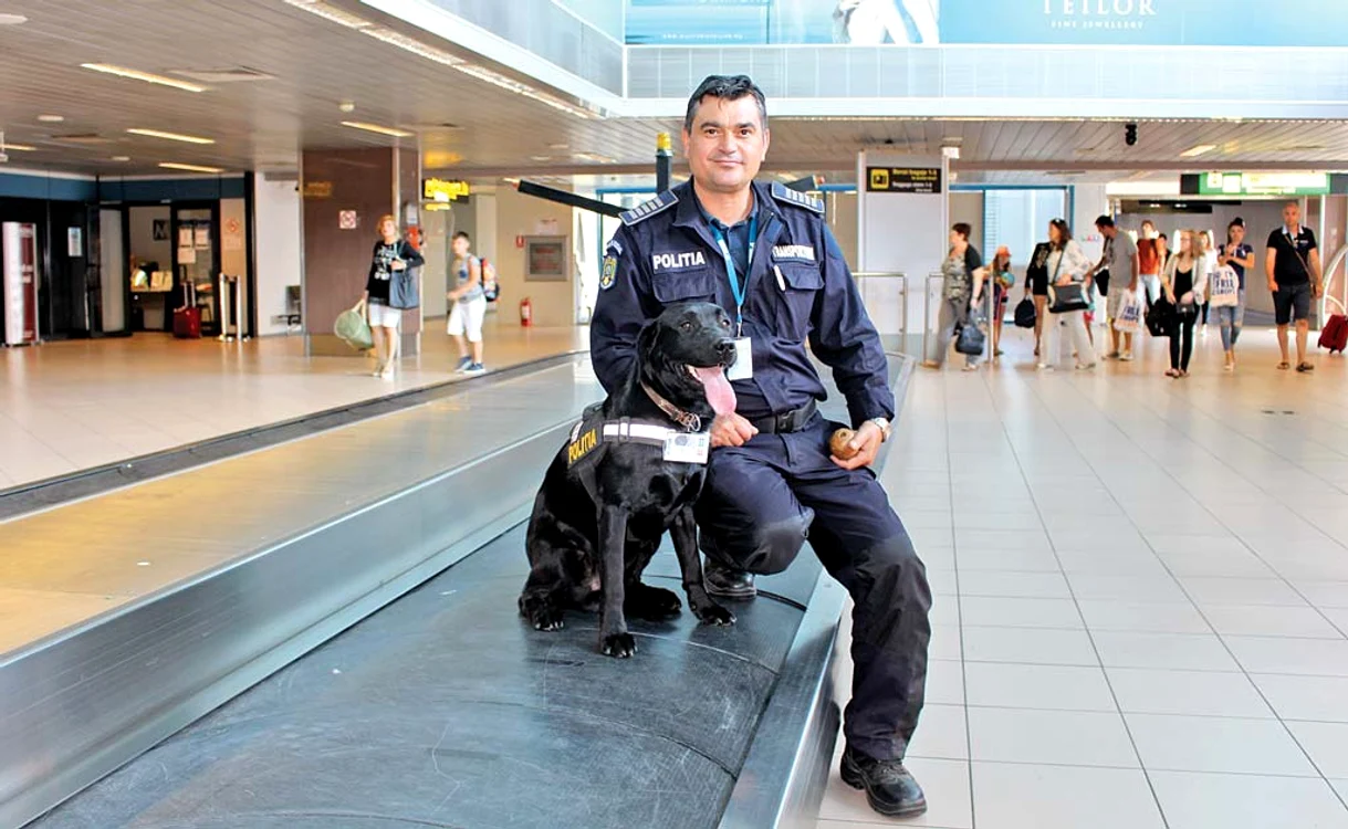 
    Treaba lui Taz este  să depisteze drogurile  ascunse în bagajeFoto: Aeroportul «Henri Coandă»  