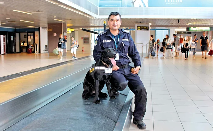
    Treaba lui Taz este  să depisteze drogurile  ascunse în bagajeFoto: Aeroportul «Henri Coandă»  