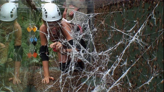 “Sunt celebru, scoate-mă de aici!” se numeşte noul reality show de la Pro TV