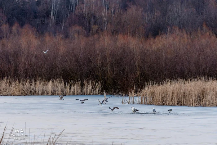 Delta dintre dealuri din Pucioasa. FOTO Mădălin Anca