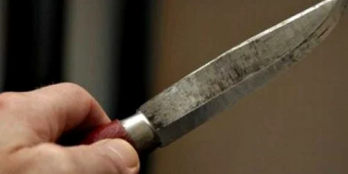 Şi-a înjunghiat fratele mai mic (arhivă)