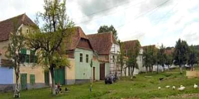 Braşov: Un regizor britanic va deschide o clinică la Viscri