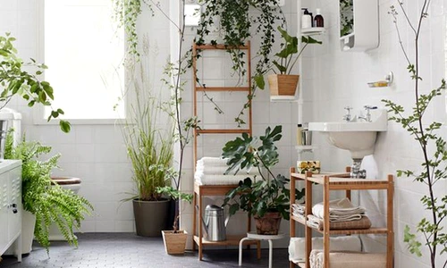 1 69281 original jpg jpeg