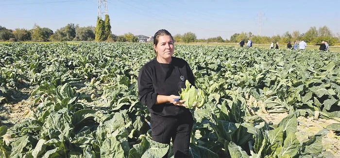 Ioana este  supranumită  „Messi” al  salatelor
