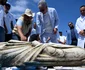 Arheologii au scos din apă figuri regale și sfincși din perioada pre-romană / Sursa foto: AFP