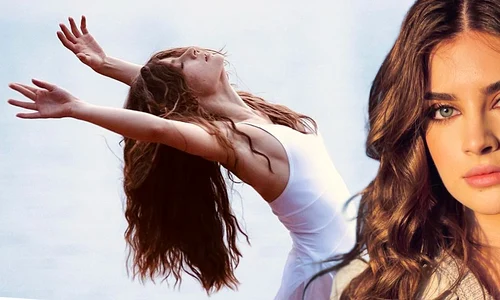 banner ana bodea png