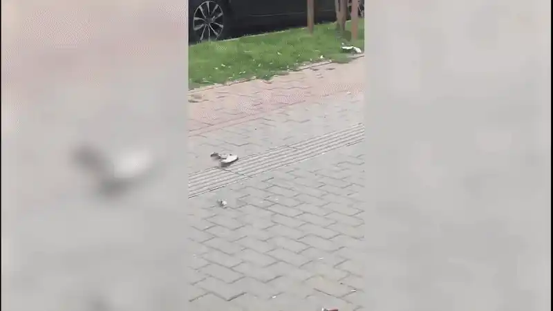 O femeie a șocat trecătorii din Iași după ce a prins și a mâncat un porumbel, în plină stradă. A ajuns la Institutul de Psihiatrie Socola