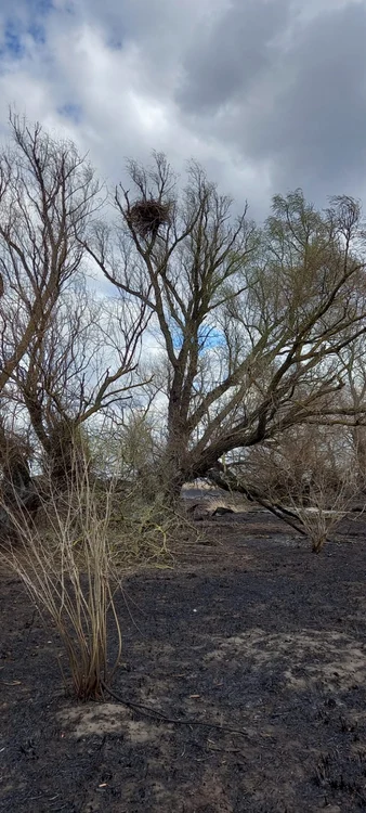 Incendii Delta Dunării