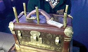 Bote a primit un tort în formă de valiză jpeg