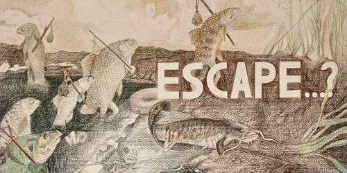 Aceasta este lucrarea care a primit marele premiu